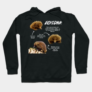 Echidna Fun Facts Hoodie